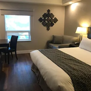 https://chateau-louis-hotel-conference-centre.edmonton-hotels.net